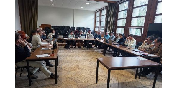 Image / illustration