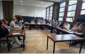 Image / illustration