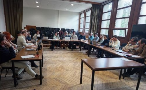 Image / illustration