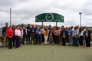 Image / illustration